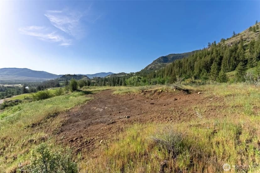 Property photo for 0 Tbd Alder Road, Twisp photo 34