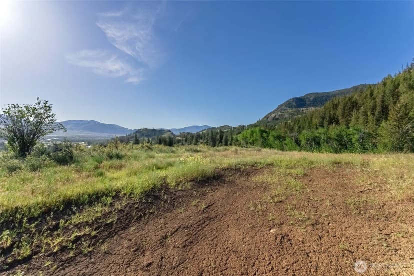Property photo for 0 Tbd Alder Road, Twisp photo 7