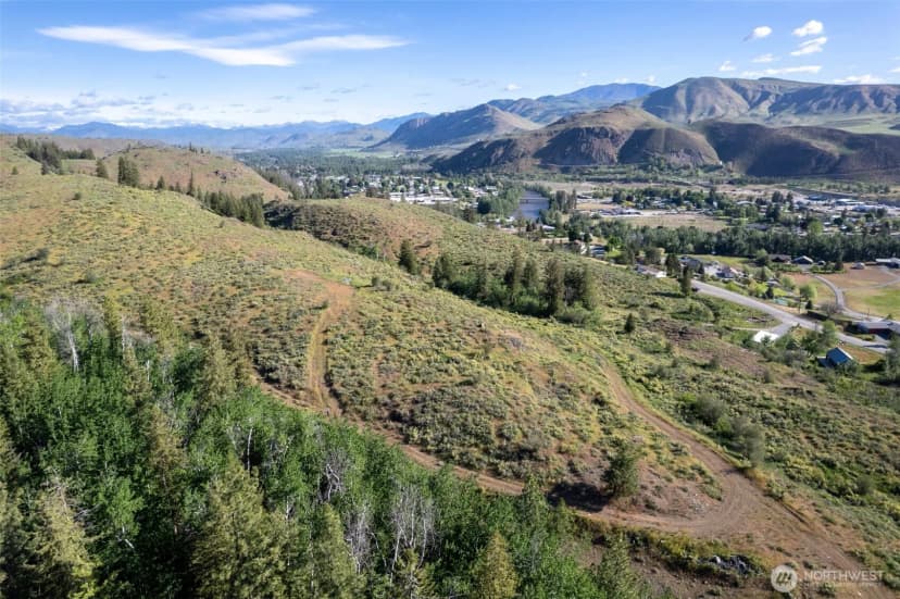 Property photo for 0 Tbd Alder Road, Twisp photo 19