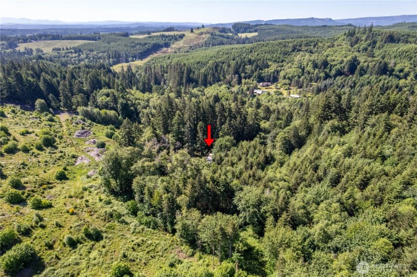 Property photo for 198 Burnett, Winlock photo 23