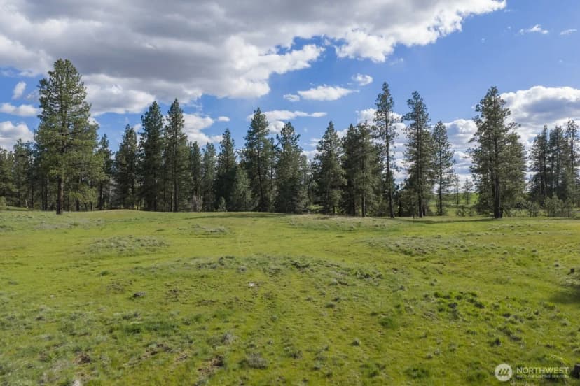 Property photo for 32312 North Pine Creek Road S, Spangle photo 3