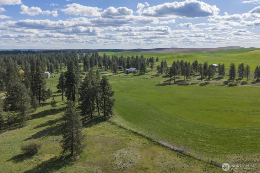 Property photo for 32312 North Pine Creek Road S, Spangle photo 9