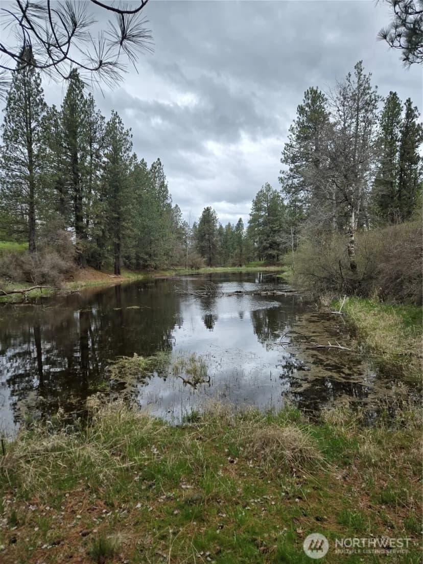 Property photo for 32312 North Pine Creek Road S, Spangle photo 7