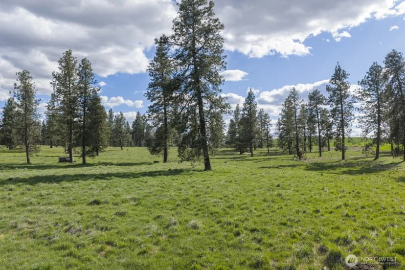 Property photo for 32312 North Pine Creek Road S, Spangle photo 12