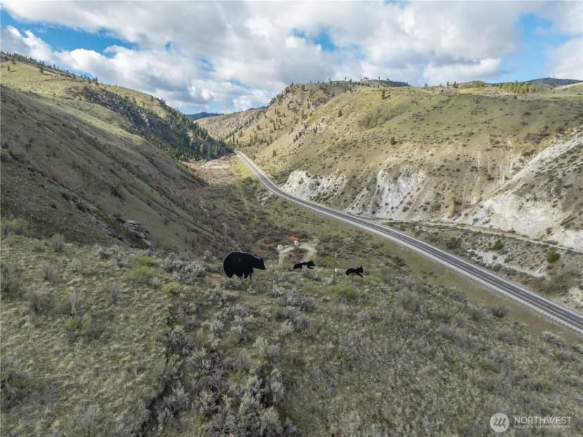 Property photo for 111 Hawks Meadow Road, Chelan photo 39