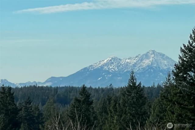 Property photo for 4201 Nettle Drive Se, Port Orchard photo 3