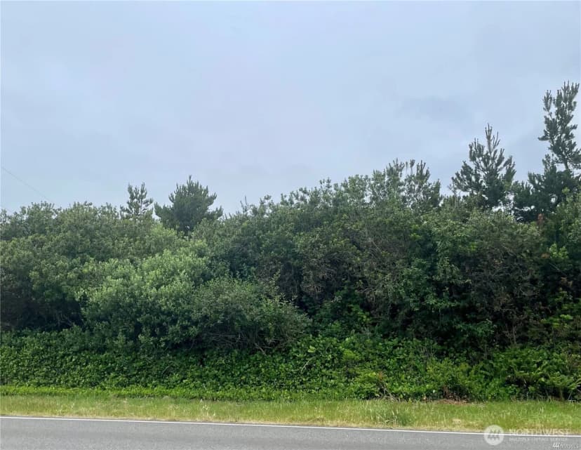 Property photo for 998 Texmar Avenue Sw, Ocean Shores photo 23