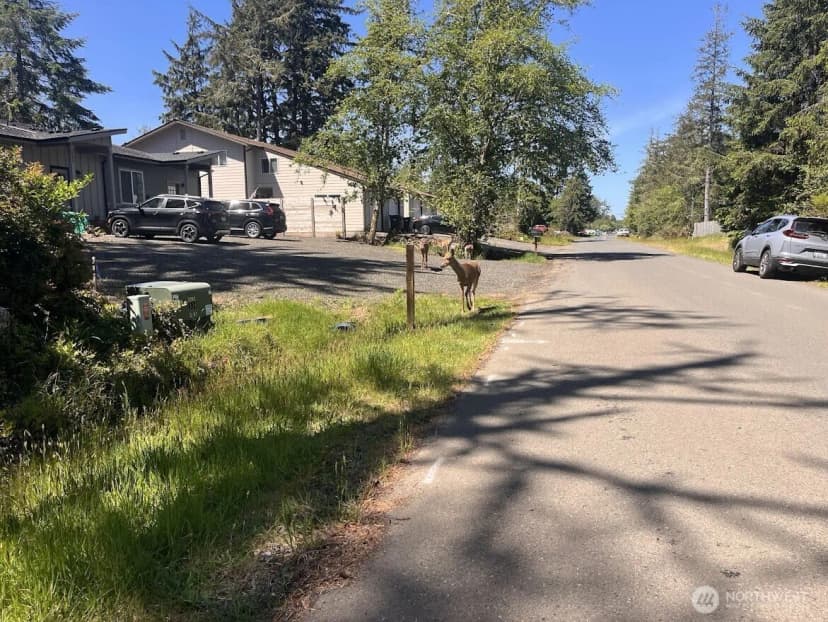 Property photo for 559 Sunset Avenue Ne, Ocean Shores photo 4