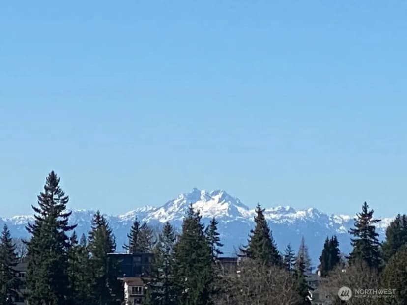 Property photo for 4409 California Avenue Sw #503, Seattle photo 6