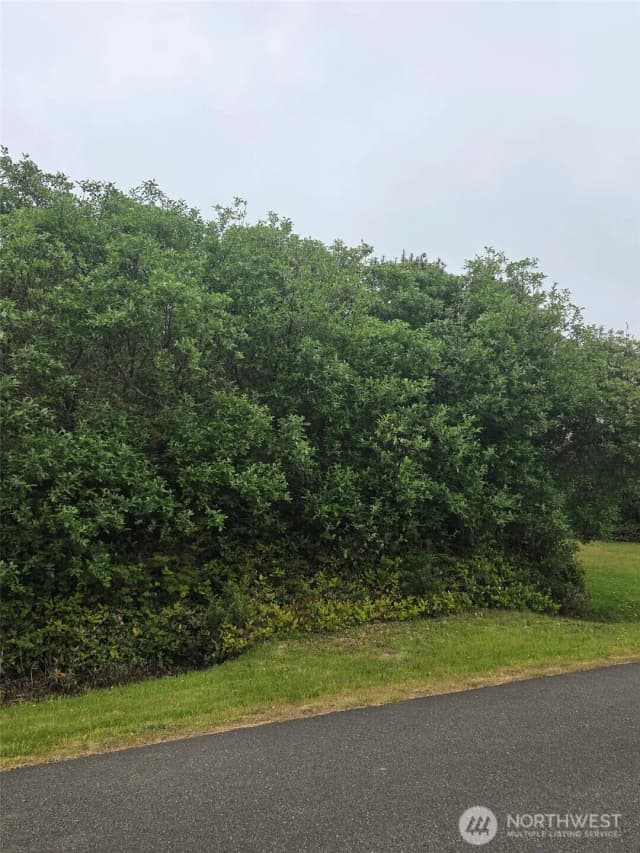 Property photo for 392 S Wynoochee Drive Sw, Ocean Shores photo 3