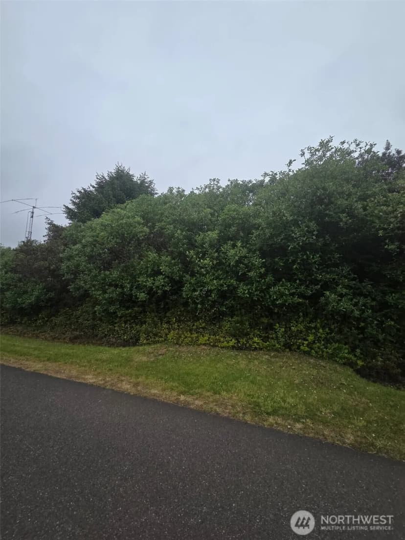 Property photo for 392 S Wynoochee Drive Sw, Ocean Shores photo 4