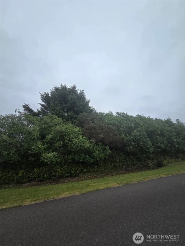 Property photo for 392 S Wynoochee Drive Sw, Ocean Shores photo 5