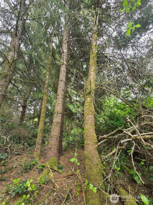 Property photo for 624 Wolf Ct Se, Ocean Shores photo 3