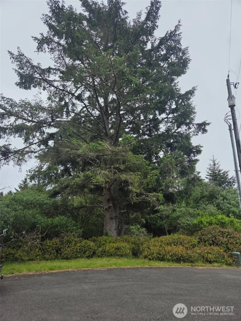 Property photo for 624 Wolf Ct Se, Ocean Shores photo 2