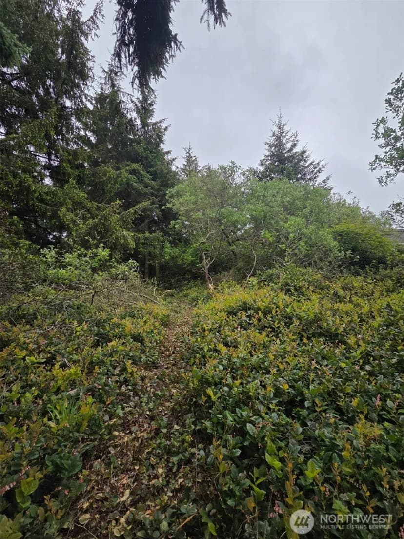Property photo for 624 Wolf Ct Se, Ocean Shores