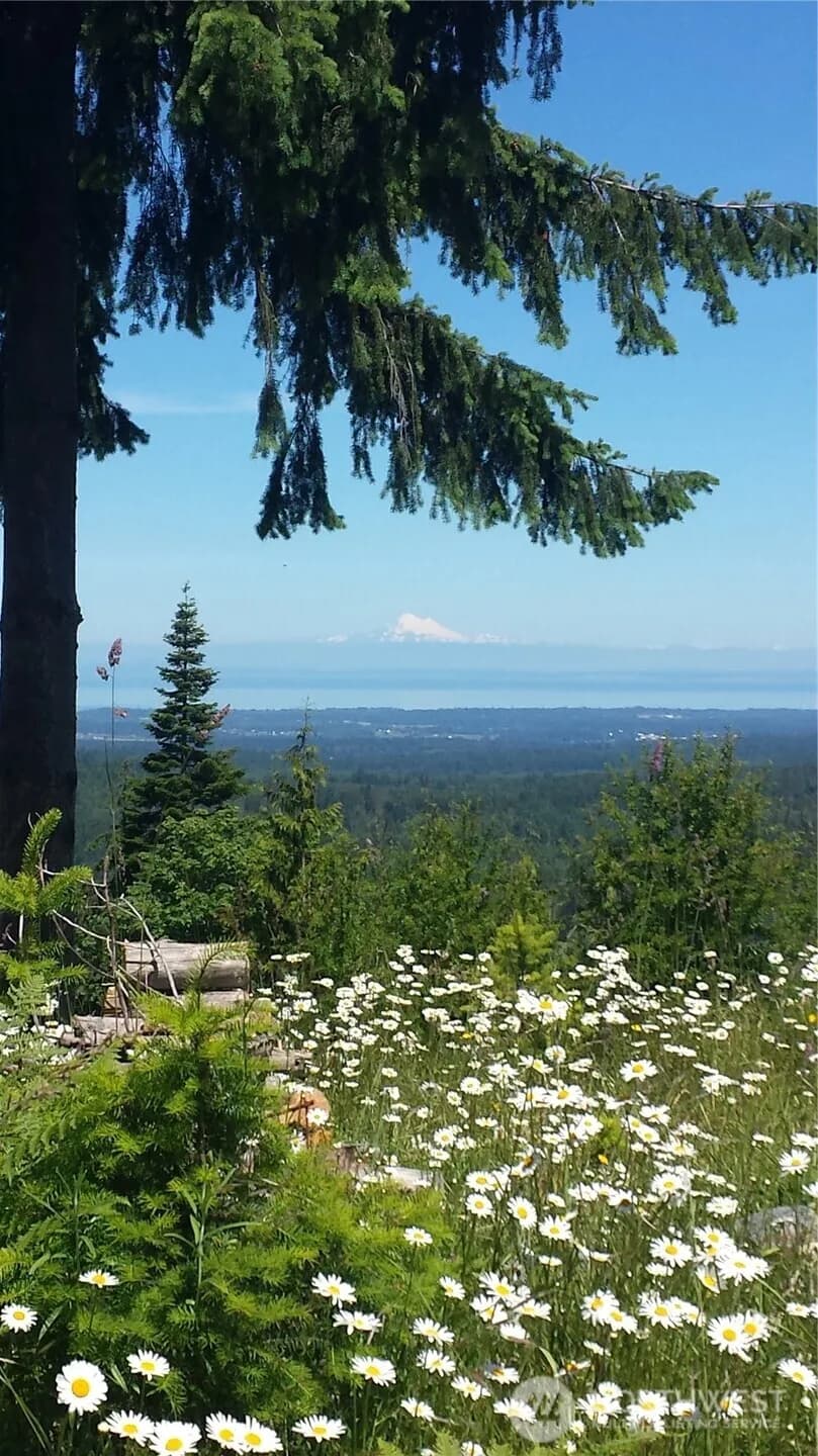 Property photo for 1648 Township Line Road, Port Angeles photo 40