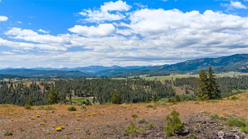 Property photo for 1371 Bettas Road, Cle Elum photo 36