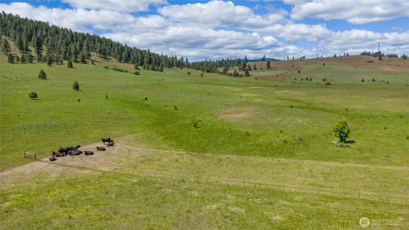 Property photo for 1371 Bettas Road, Cle Elum photo 28
