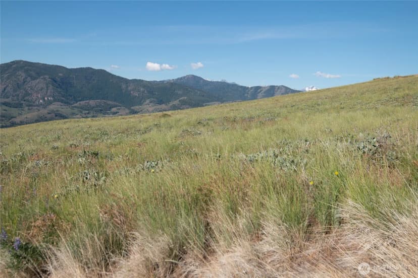 Property photo for 32 Maggies Road, Twisp photo 3