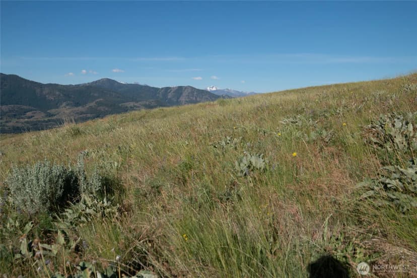 Property photo for 32 Maggies Road, Twisp photo 18