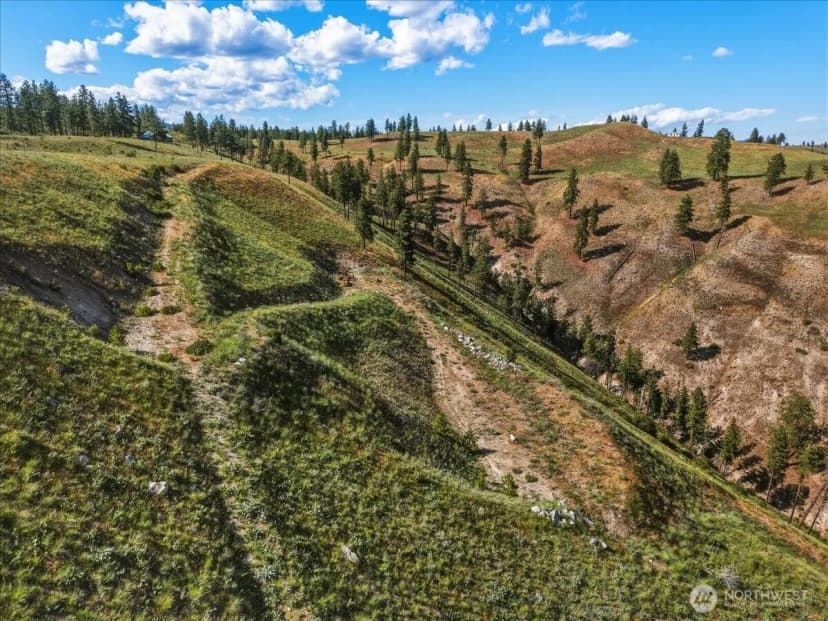 Property photo for 6575 Union Valley Road, Chelan photo 17