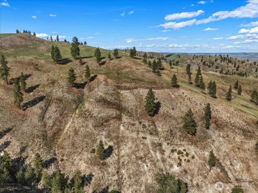 Property photo for 6575 Union Valley Road, Chelan photo 32