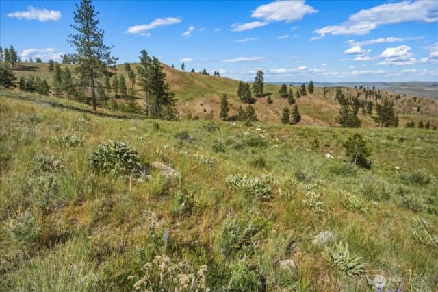 Property photo for 6575 Union Valley Road, Chelan photo 4