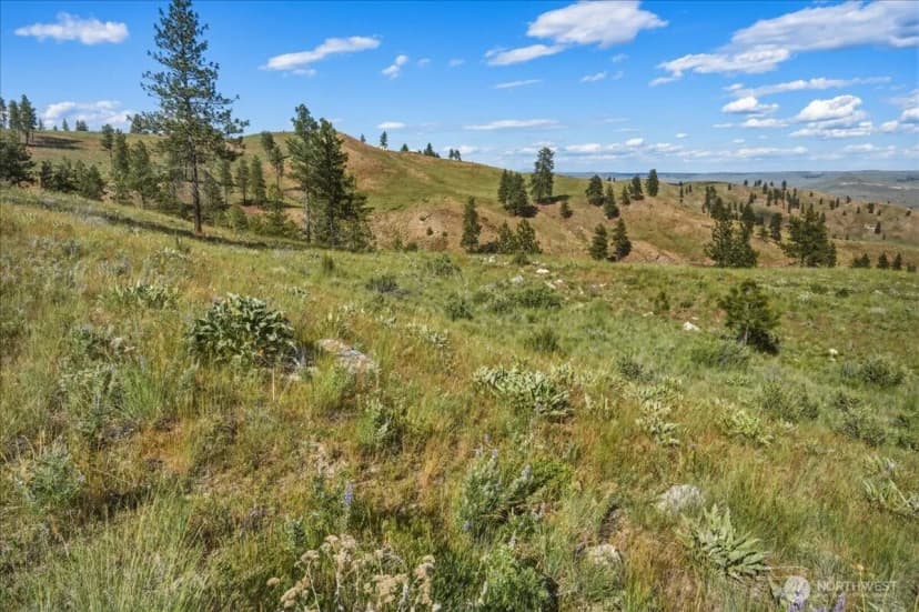 Property photo for 6575 Union Valley Road, Chelan photo 4