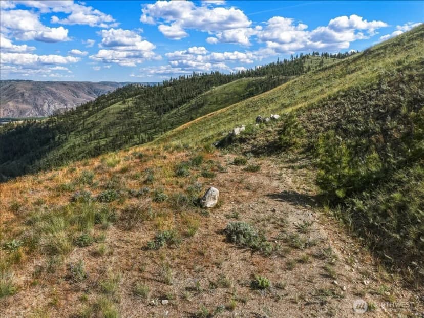 Property photo for 6575 Union Valley Road, Chelan photo 9