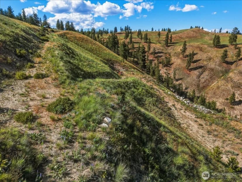 Property photo for 6575 Union Valley Road, Chelan photo 8