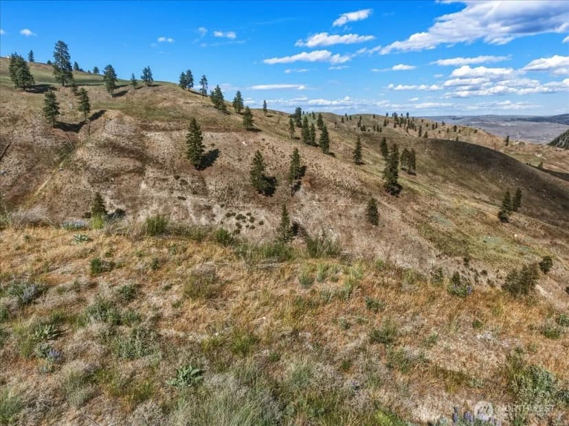 Property photo for 6575 Union Valley Road, Chelan photo 18