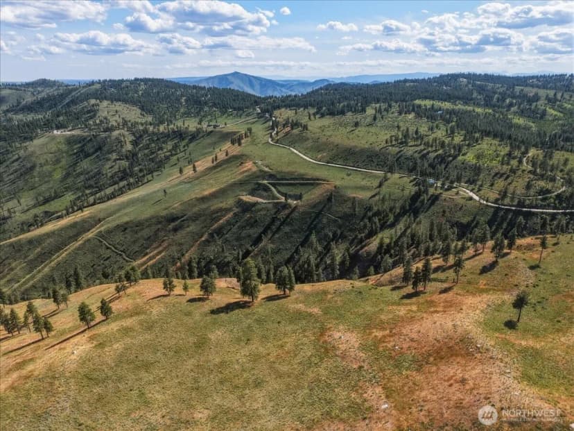 Property photo for 6575 Union Valley Road, Chelan photo 25