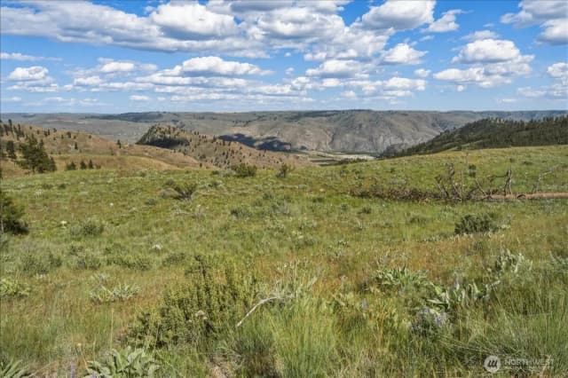 Property photo for 6575 Union Valley Road, Chelan photo 3
