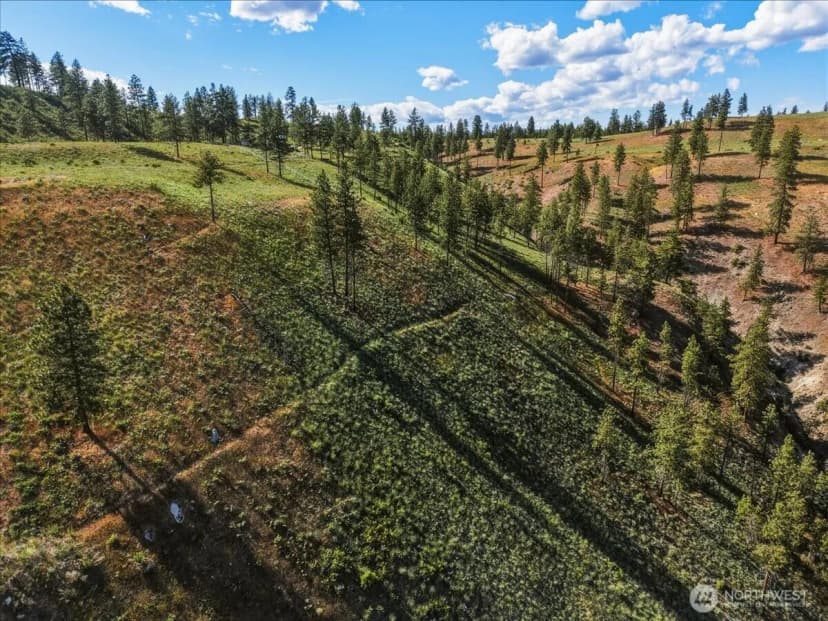 Property photo for 6575 Union Valley Road, Chelan photo 12
