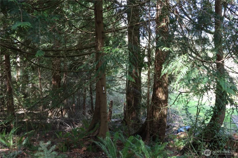 Property photo for 260 Xx Se 18th Place, Sammamish photo 2