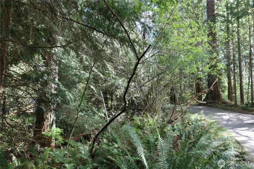 Property photo for 260 Xx Se 18th Place, Sammamish photo 9