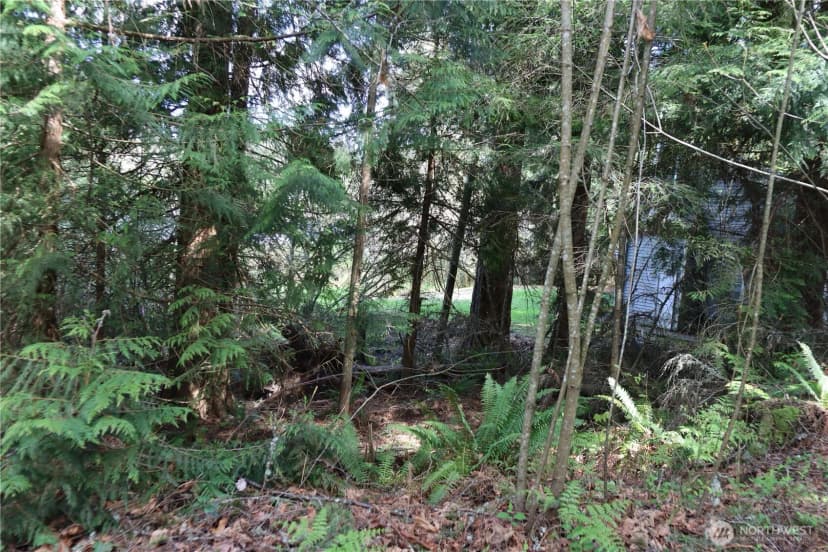 Property photo for 260 Xx Se 18th Place, Sammamish photo 12