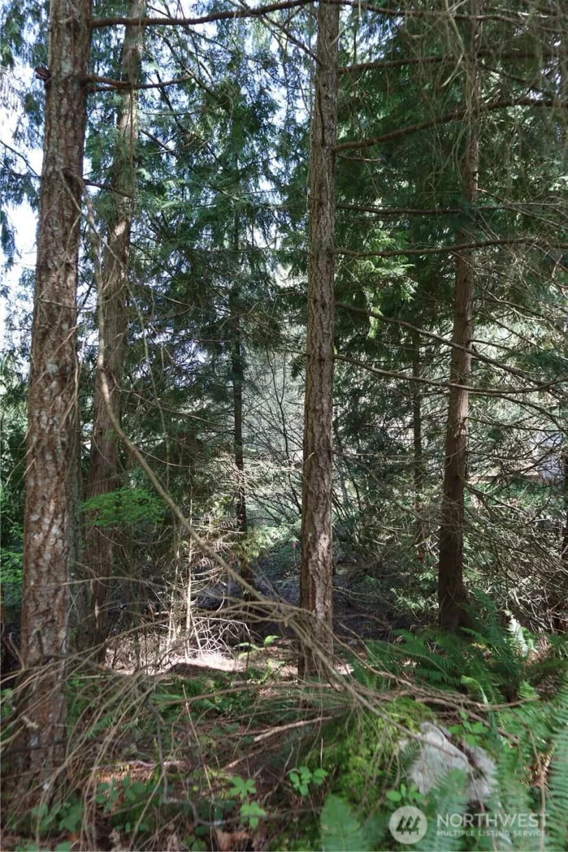 Property photo for 260 Xx Se 18th Place, Sammamish photo 8