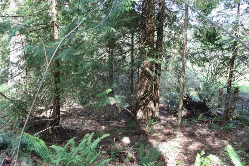 Property photo for 260 Xx Se 18th Place, Sammamish photo 5