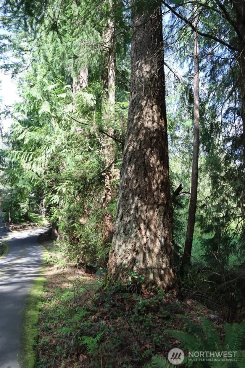 Property photo for 260 Xx Se 18th Place, Sammamish photo 7