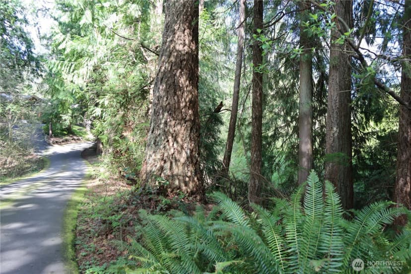 Property photo for 260 Xx Se 18th Place, Sammamish photo 6