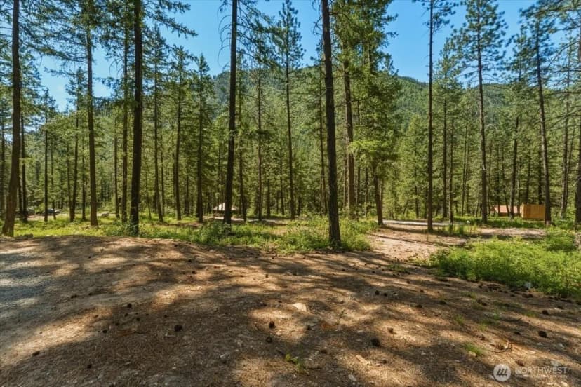 Property photo for 2350 First Creek Road, Chelan photo 30