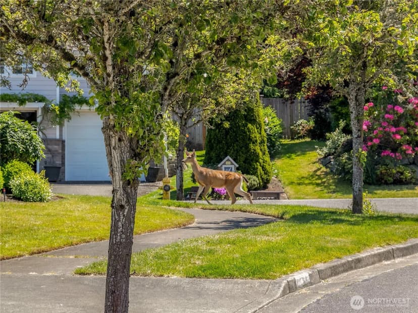 Property photo for 4029 Crystal Ridge Drive Se, Puyallup photo 38