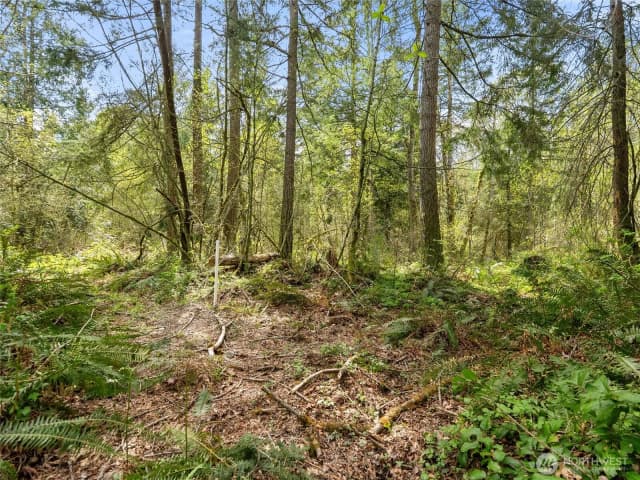 Property photo for 67 Xx 258th Avenue Ne, Redmond photo 2