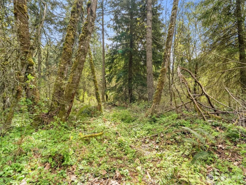 Property photo for 67 Xx 258th Avenue Ne, Redmond photo 17