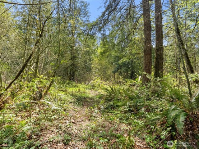 Property photo for 67 Xx 258th Avenue Ne, Redmond photo 5