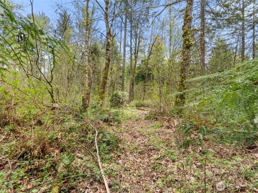 Property photo for 67 Xx 258th Avenue Ne, Redmond photo 19