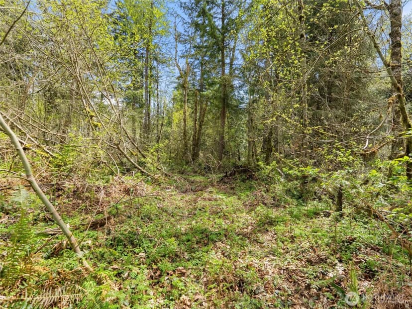 Property photo for 67 Xx 258th Avenue Ne, Redmond photo 20