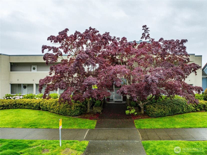 Property photo for 4457 44th Avenue Sw #101, Seattle photo 2