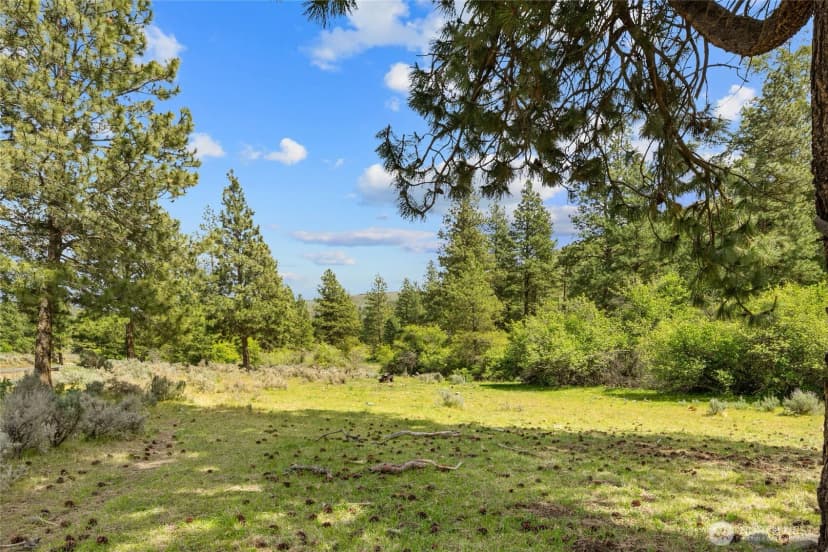 Property photo for 6750 Secret Canyon Road, Ellensburg photo 31